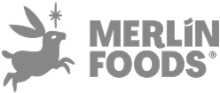 Merlin Foods